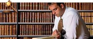 litigation paralegal